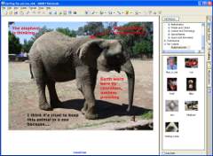 Visit the interactive whiteboard resources